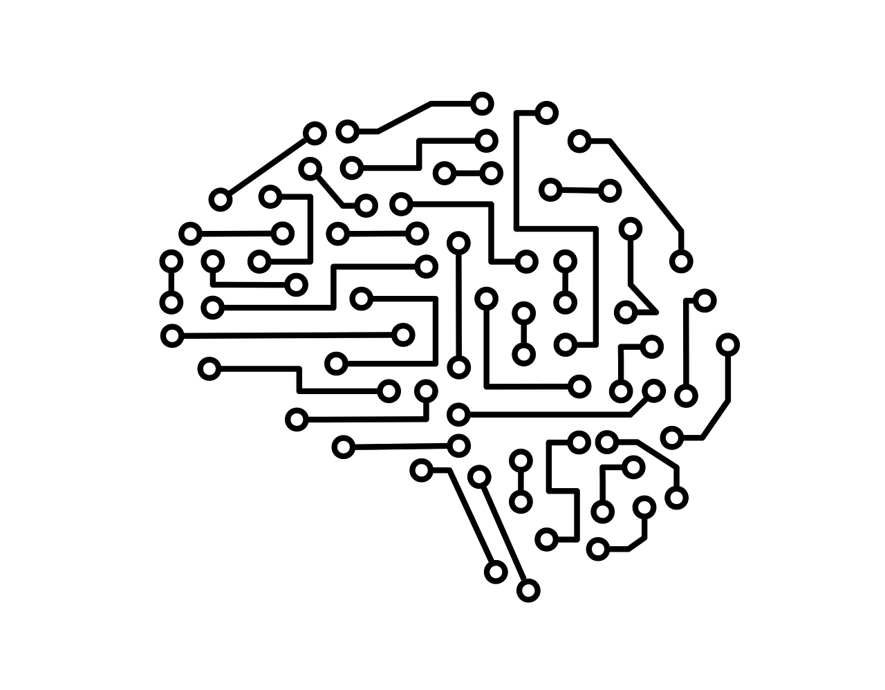 Amazon’s Alexa Fund: Pouring Cash into the AI Cauldron
